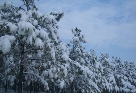 化雪劑廠家未能充分利用資源